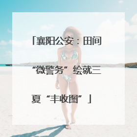襄阳公安：田间“微警务”绘就三夏“丰收图”
