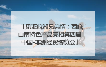 见证藏湘兄弟情：西藏山南特色产品亮相第四届中国-非洲经贸博览会