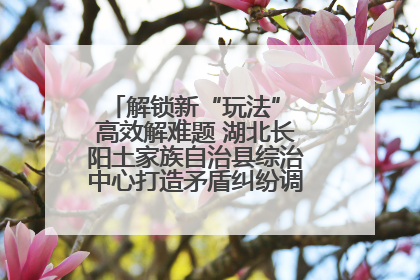 解锁新“玩法” 高效解难题 湖北长阳土家族自治县综治中心打造矛盾纠纷调处“终点站”
