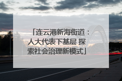 连云港新海街道：人大代表下基层 探索社会治理新模式