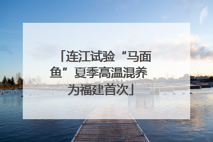 连江试验“马面鱼”夏季高温混养 为福建首次