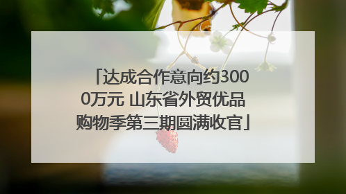 达成合作意向约3000万元 山东省外贸优品购物季第三期圆满收官