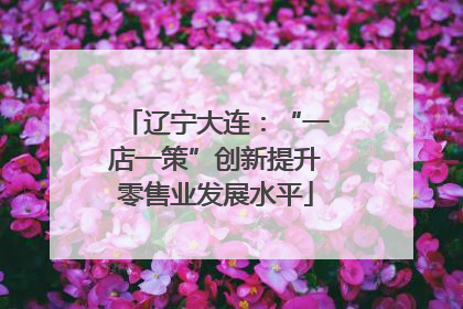 辽宁大连：“一店一策”创新提升零售业发展水平