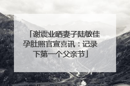 谢震业晒妻子陆敏佳孕肚照官宣喜讯：记录下第一个父亲节