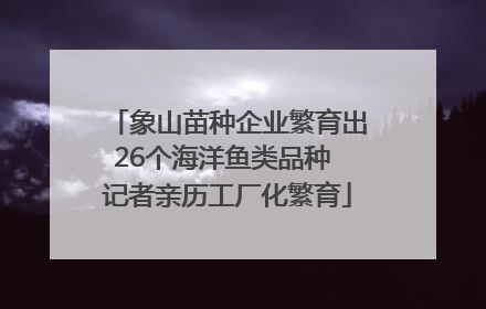 象山苗种企业繁育出26个海洋鱼类品种 记者亲历工厂化繁育