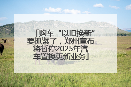 购车“以旧换新”要抓紧了，郑州宣布将暂停2025年汽车置换更新业务