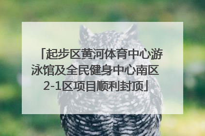 起步区黄河体育中心游泳馆及全民健身中心南区2-1区项目顺利封顶