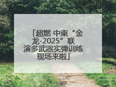 超燃 中柬“金龙-2025”联演多武器实弹训练现场来啦