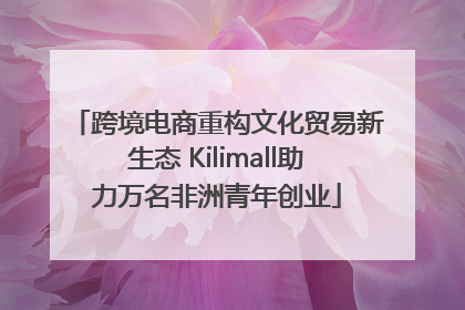 跨境电商重构文化贸易新生态 Kilimall助力万名非洲青年创业