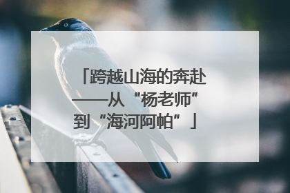跨越山海的奔赴——从“杨老师”到“海河阿帕”