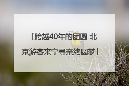 跨越40年的团圆 北京游客来宁寻亲终圆梦