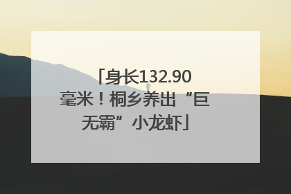 身长132.90毫米！桐乡养出“巨无霸”小龙虾