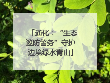 通化：“生态巡防警务”守护边境绿水青山