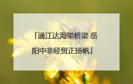 通江达海架桥梁 岳阳中非经贸正扬帆
