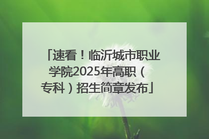 速看！临沂城市职业学院2025年高职（专科）招生简章发布