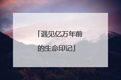 遇见亿万年前的生命印记