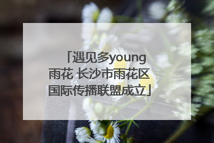 遇见多young雨花 长沙市雨花区国际传播联盟成立