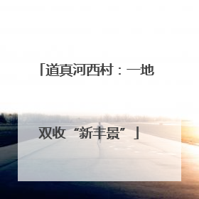 道真河西村：一地双收“新丰景”