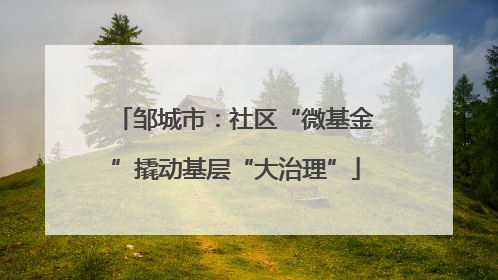 邹城市：社区“微基金”撬动基层“大治理”