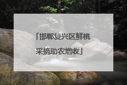 邯郸复兴区鲜桃采摘助农增收