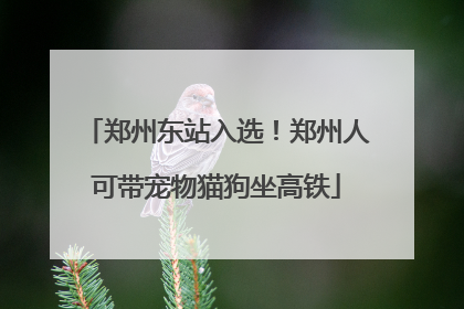 郑州东站入选！郑州人可带宠物猫狗坐高铁