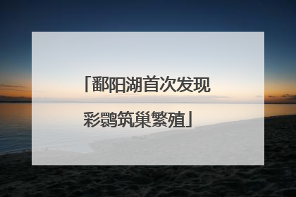 鄱阳湖首次发现彩鹮筑巢繁殖