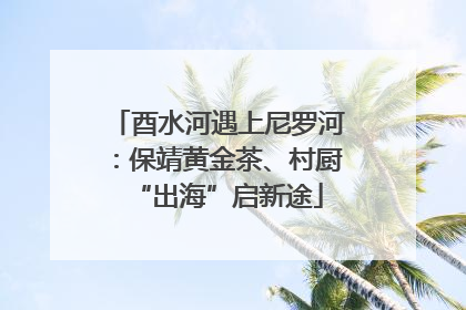 酉水河遇上尼罗河：保靖黄金茶、村厨“出海”启新途