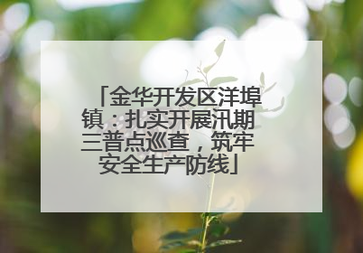 金华开发区洋埠镇：扎实开展汛期三普点巡查，筑牢安全生产防线