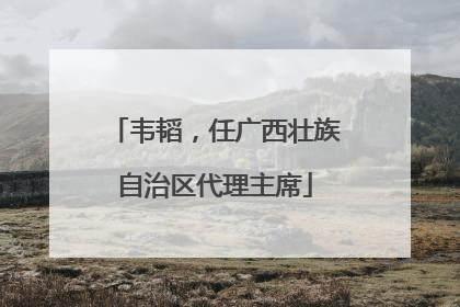 韦韬，任广西壮族自治区代理主席