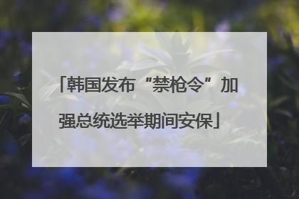 韩国发布“禁枪令”加强总统选举期间安保