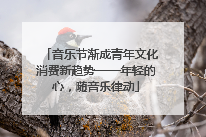 音乐节渐成青年文化消费新趋势——年轻的心，随音乐律动