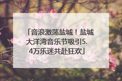 音浪激荡盐城！盐城大洋湾音乐节吸引5.4万乐迷共赴狂欢
