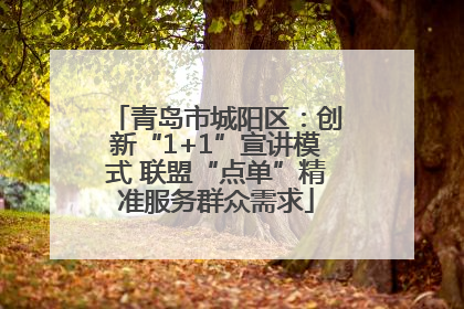 青岛市城阳区：创新“1+1”宣讲模式 联盟“点单”精准服务群众需求