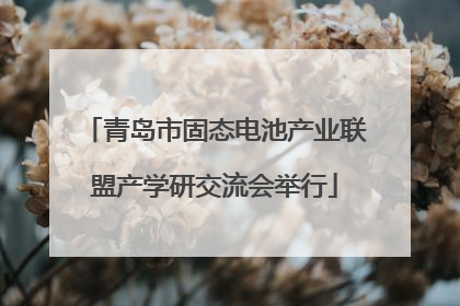 青岛市固态电池产业联盟产学研交流会举行