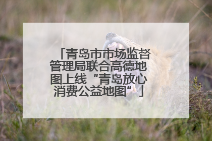 青岛市市场监督管理局联合高德地图上线“青岛放心消费公益地图”