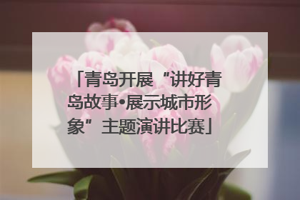 青岛开展“讲好青岛故事•展示城市形象”主题演讲比赛