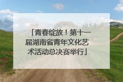 青春绽放！第十一届湖南省青年文化艺术活动总决赛举行