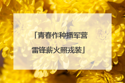 青春作种播军营 雷锋薪火照戎装