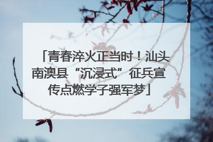 青春淬火正当时！汕头南澳县“沉浸式”征兵宣传点燃学子强军梦