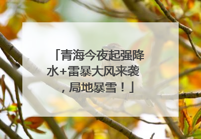 青海今夜起强降水+雷暴大风来袭，局地暴雪！