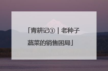 青耕记③｜老种子蔬菜的销售困局