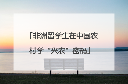 非洲留学生在中国农村学“兴农”密码