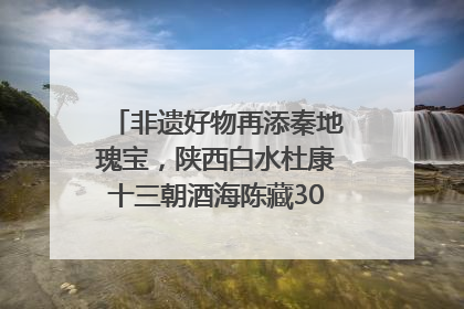 非遗好物再添秦地瑰宝，陕西白水杜康十三朝酒海陈藏30年别具一格