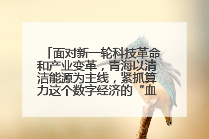 面对新一轮科技革命和产业变革，青海以清洁能源为主线，紧抓算力这个数字经济的“血液”、科技主权的“筹码”、产业升级的“杠杆”、绿色转型的“支点”，勇于撬动国家“双碳”战略、“东数西算”工程重大发展新机遇