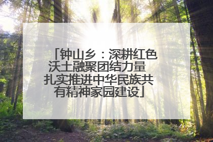钟山乡：深耕红色沃土融聚团结力量 扎实推进中华民族共有精神家园建设