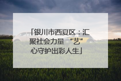 银川市西夏区：汇聚社会力量 “艺”心守护出彩人生