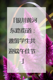 银川黄河东路街道：邀留学生共迎端午佳节