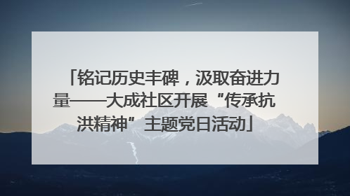 铭记历史丰碑，汲取奋进力量——大成社区开展“传承抗洪精神”主题党日活动