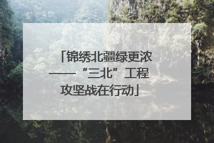锦绣北疆绿更浓——“三北”工程攻坚战在行动