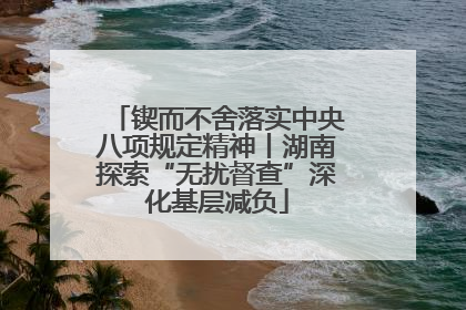 锲而不舍落实中央八项规定精神丨湖南探索“无扰督查”深化基层减负